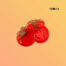 엠플러스헤어 - 광진구 | 엠플러스헤어