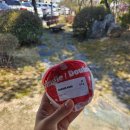 토마토어린이집 | 평택 숨은 명소｜자연테마식물원 + 토마토카페 가벼운 힐링코스