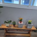 서귀포퀸아로마 | 서귀포아로마 여행내내 운전하던 아빠 서귀포퀸아로마에서 마사지해드렸어요