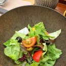 카세로지 이미지