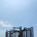 수기해변 이미지