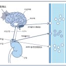 이진복한의원 이미지