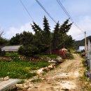 양평포레스트 스테이 네이버블로그