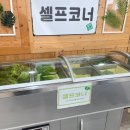 쌈쌈남녀