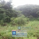 여양2로 이미지