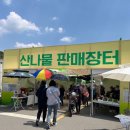 영양초등학교 | [경북영양] 경북축제 가볼만한 곳, 영양산나물축제 가족나들이 후기