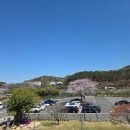 양산대로 | 양산 통도사카페 순지카페 양산대형카페 베이커리 후기