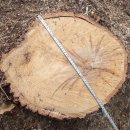 은평-019 이미지