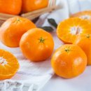 과일 충전소 이미지