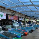 장사항활어직판장 이미지