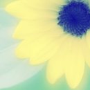 후스킨 - 북구 만덕대로 9 | 후스킨