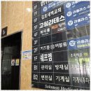 문스킨&바디 이미지