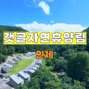 갯골자연휴양림 | 피라미 낚시의 천국 인제 갯골자연휴양림 숲속의집 208호 후기