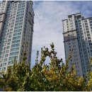 광교갤럭시공인중개사사무소 이미지