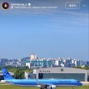 asiana airplane color 이미지