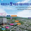 옥정중심상업지구내 도로 이미지
