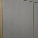 장항동,백석동 이미지