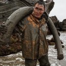 상아무역 이미지