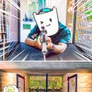 히트야구사격 이미지