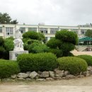 영창초등학교 이미지