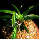 화영농장 이미지