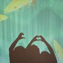 목재문화자연사체험관 이미지