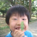 상희네목장 네이버블로그