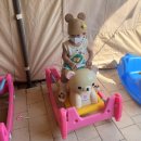 상송농장 | [구미 카페] 아이랑 가기 좋은 청보리밭 카페 농부의 정원