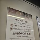 교대역 샤브샤브 등촌샤브칼국수 아침식사 사랑의교회 맛집