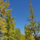 농주목장 이미지