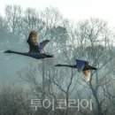 (주)금강에너지 이미지