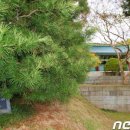 금송의원 이미지