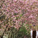 에브리선데이커피부용점 이미지