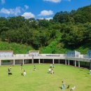 댕댕이숲 이미지