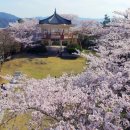 예양 이코노믹포스트