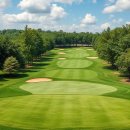 엠스클럽의성(18홀) 이미지