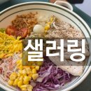 한그릇포케샐러드&샌드위치 | 충주터미널 맛집 식당 포케 샐러드 샌드위치 샐러링