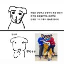 카스쿨 2025 후기 및 준비물