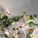 오버리히트 이미지