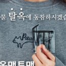 포인핏 이미지