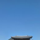 광화문 <흑궁흑염소> 흑염소 진액 선물세트 포장 후기/명절 선물 추천/