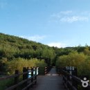 울산종합관광안내소 이미지