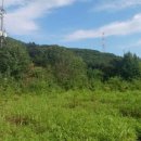 한이농장 이미지