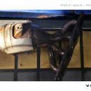 센서크리닝 이미지