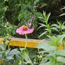 타임스테이 이미지