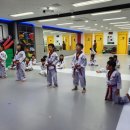 용인대 청당 태권도 이미지