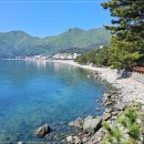 여유로운 아침의 클래식 산책 이미지