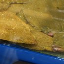 계절수산횟집 이미지