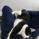 치악산한증막 이미지