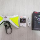 라이트 하운드 이미지